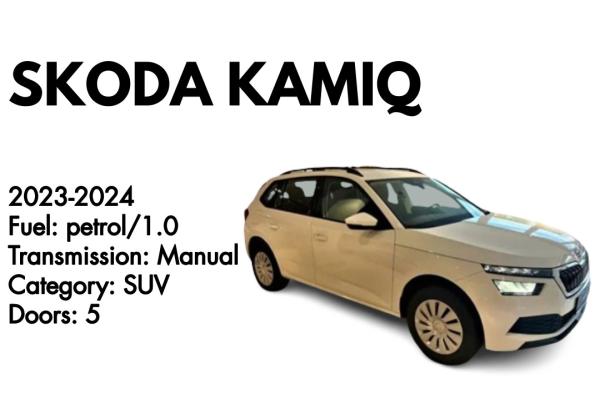 Skoda Kamiq or similar