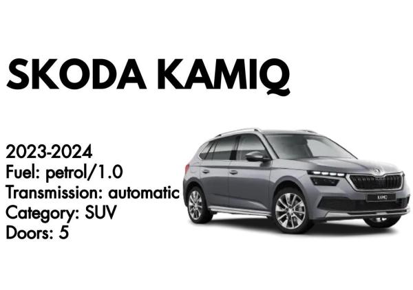 Skoda Kamiq or similar